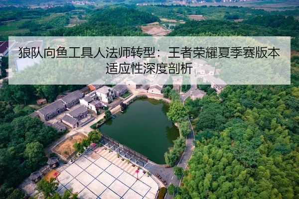狼队向鱼工具人法师转型：王者荣耀夏季赛版本适应性深度剖析