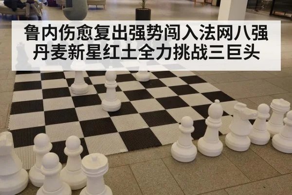 鲁内伤愈复出强势闯入法网八强 丹麦新星红土全力挑战三巨头