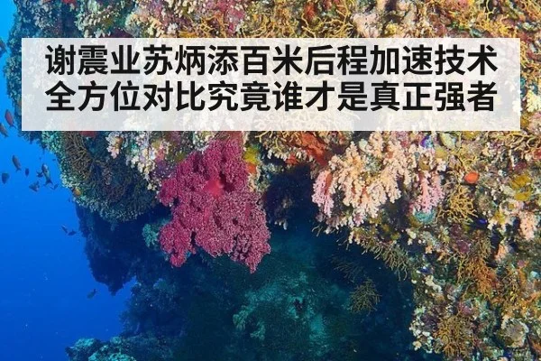 谢震业苏炳添百米后程加速技术全方位对比究竟谁才是真正强者